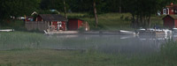 Hemviken